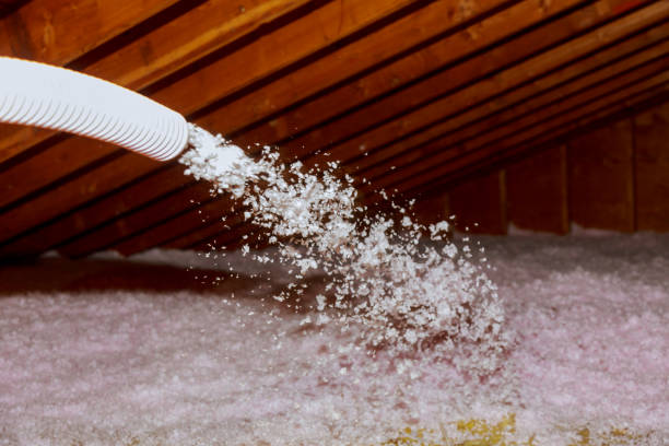Best Specialized Insulation Services in Vla Grove, IL