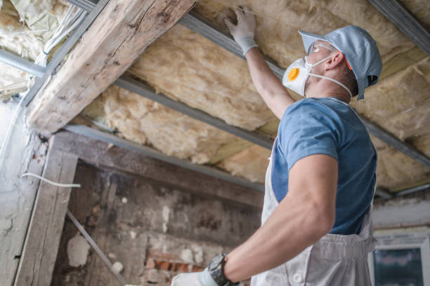 Best Fiberglass Insulation in Vla Grove, IL