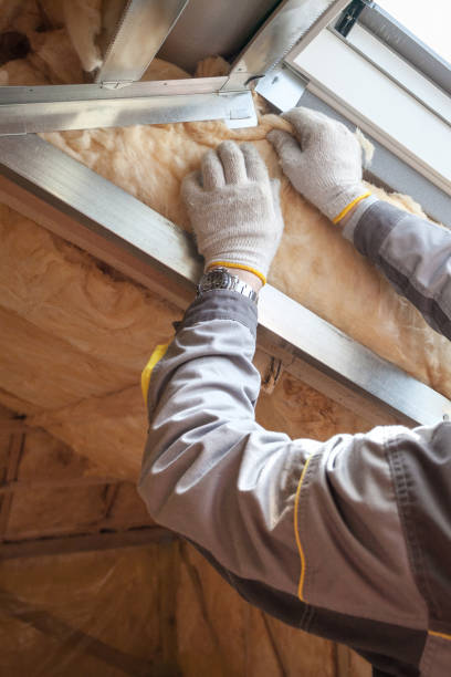 Reliable Villa Grove, IL Insulation Contractor Solutions