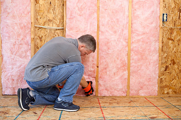 Best Geographic-Specific Insulation Services in Vla Grove, IL