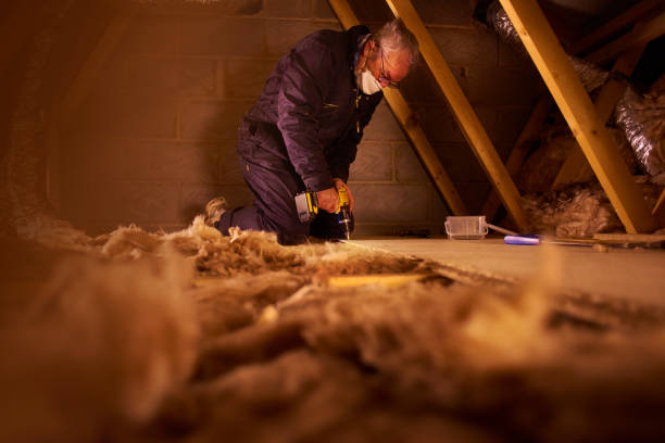 Best Spray Foam Insulation in Vla Grove, IL